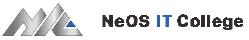 NeOS IT College